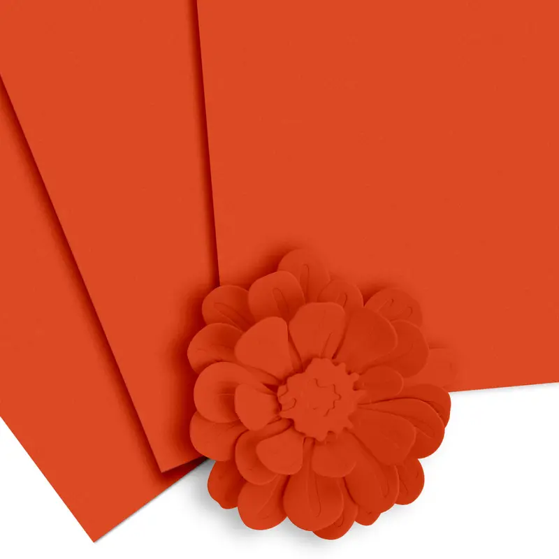 Autumn Blaze Cardstock Collection – 10 Sheets, Warm Seasonal Craft Paper 1