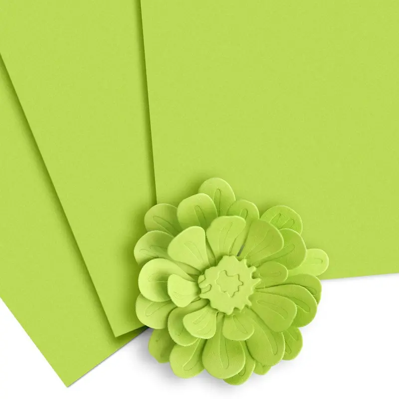 Bamboo Green Cardstock Bundle – 10 Sheets, Earthy Craft Paper 1