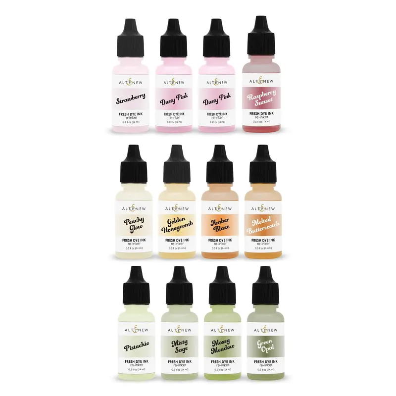 Botanical Brilliance Fresh Dye Ink Refill (Reinker) 1