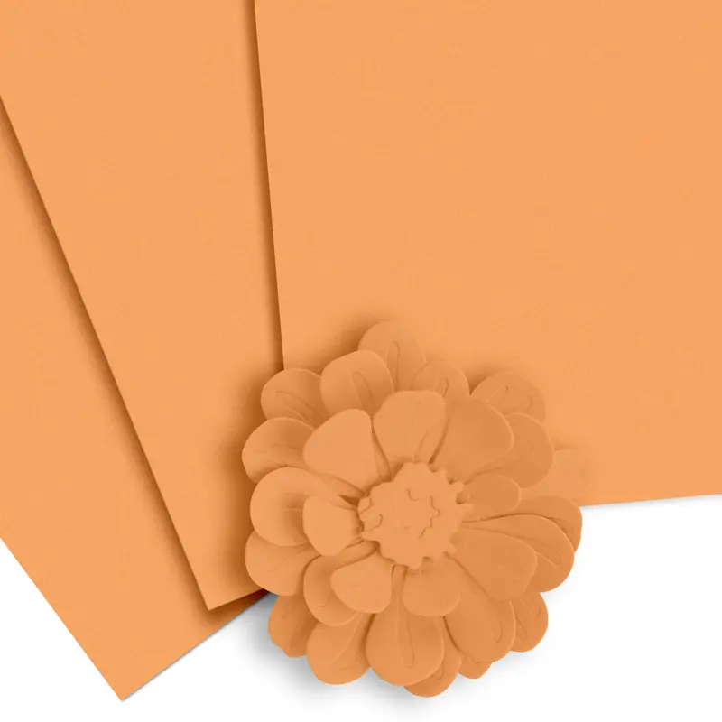 Chamomile Cardstock Pack – Soft-Tone 10-Sheet Craft Paper Set 1