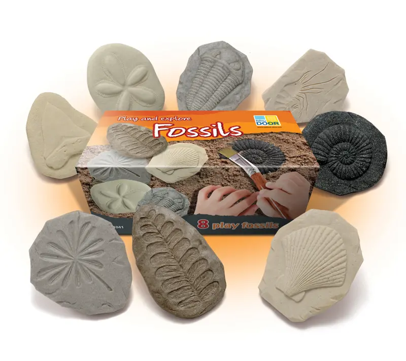 Discover Fossils Educational Activity Set 1