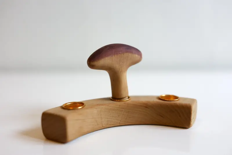 Mushroom Charm For All Alive Birthday Spiral 1