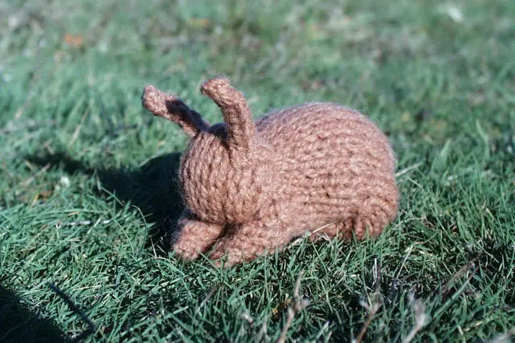 Rabbit-Themed Knitting Kit 1
