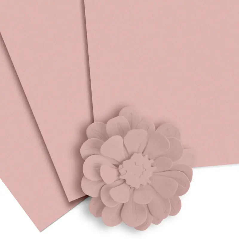 Sandy Blush Warm Neutral Cardstock – 10-Sheet Elegant Craft Pack 1