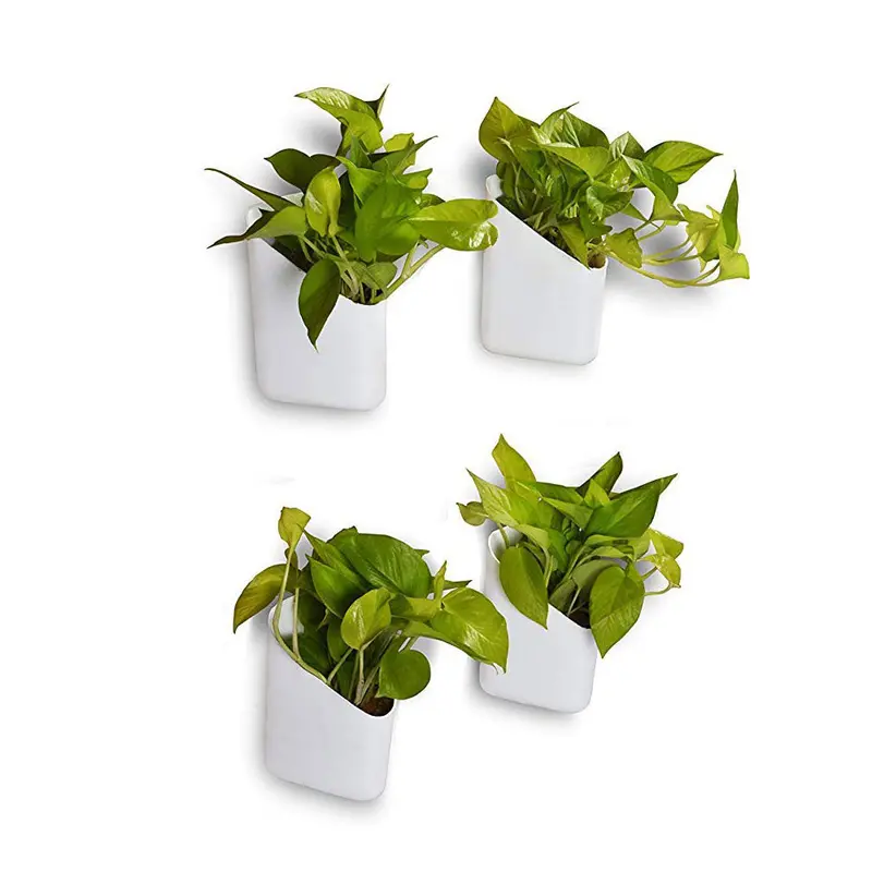 Wall-Mounted Plastic Flower Pots For Vertical Gardens 1